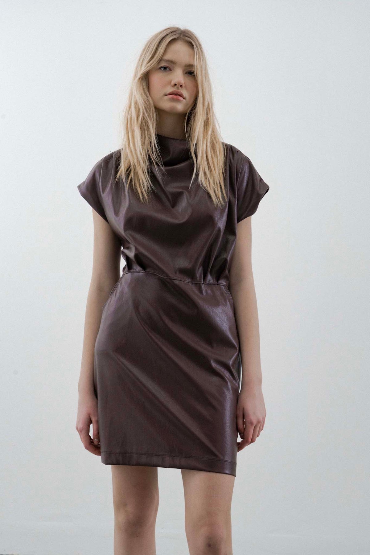 Melissa Nepton Lisa Vegan Leather Dress